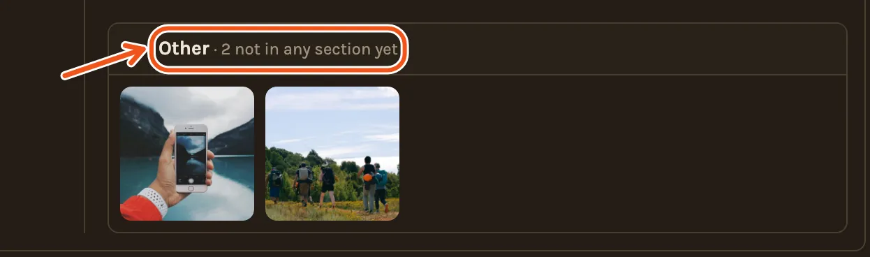 The Other group, opened, with two photos added after the timeline was made, and Other marked.