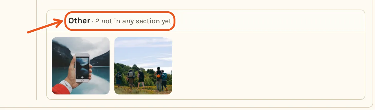 The Other group, opened, with two photos added after the timeline was made, and Other marked.