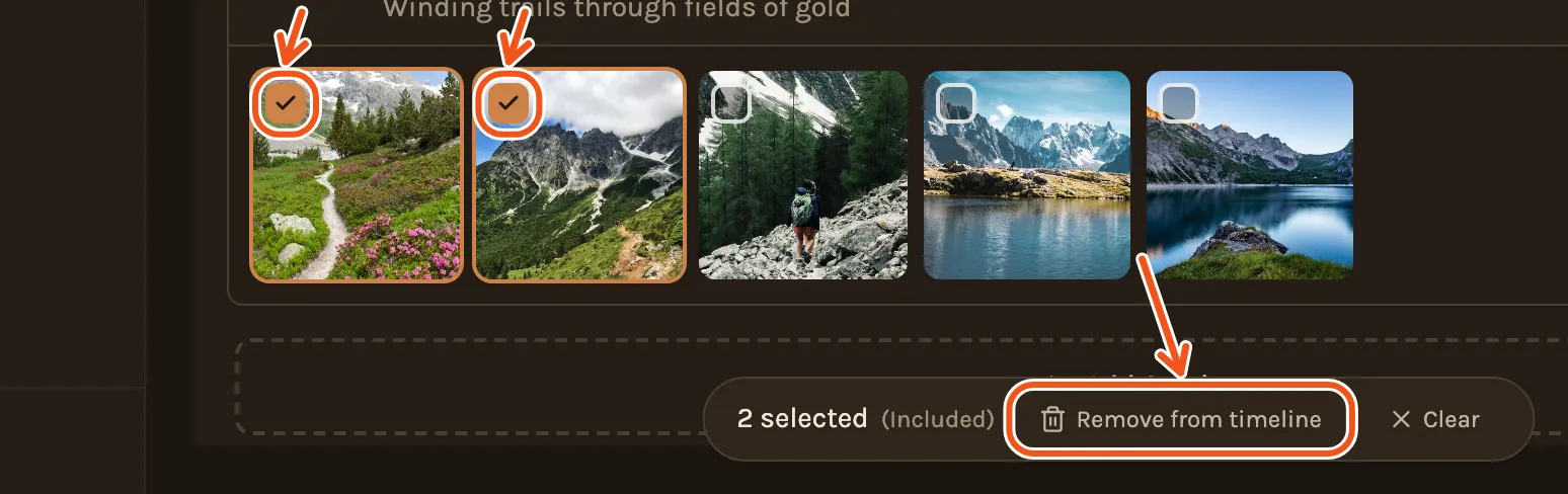 Two photos ticked and the bar at the bottom, with the ticks and Remove from timeline marked.
