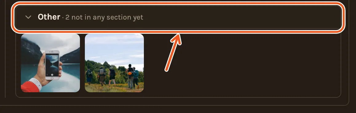 Not Included on the timeline, with the Other group open, showing two photos added after the timeline was made, and Other marked.