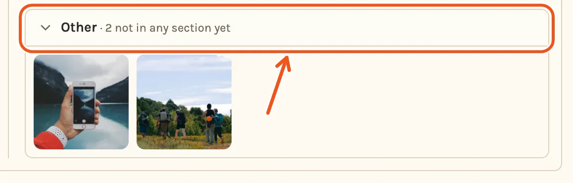 Not Included on the timeline, with the Other group open, showing two photos added after the timeline was made, and Other marked.