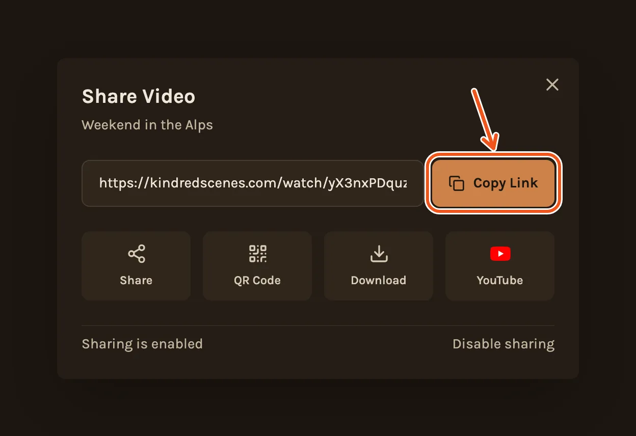 The Share Video window with the link, with Copy Link marked.