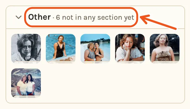Other, 6 not in any section yet, holding family photos without Leonid, its title marked.