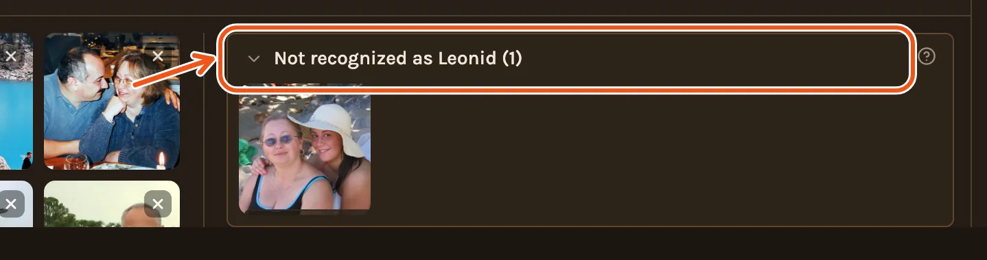 A chapter's Not Included column with the group Not recognized as Leonid open, its title marked.