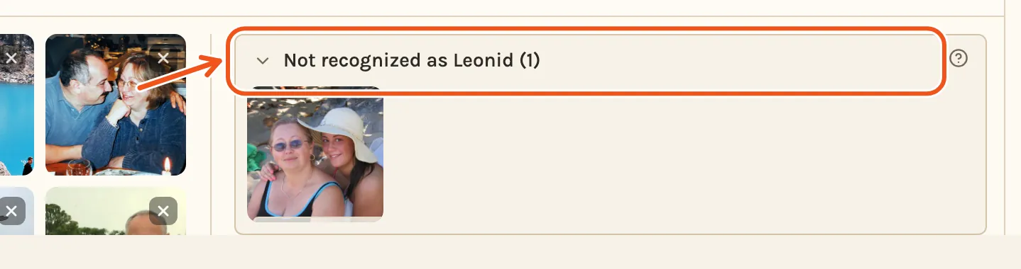 A chapter's Not Included column with the group Not recognized as Leonid open, its title marked.